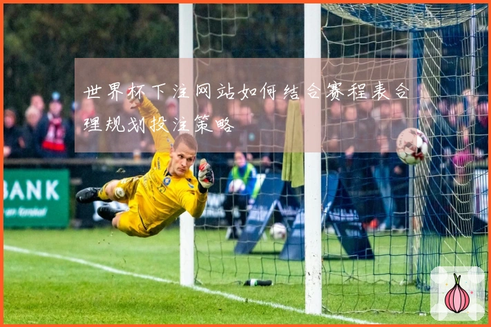 世界杯下注网站如何结合赛程表合理规划投注策略