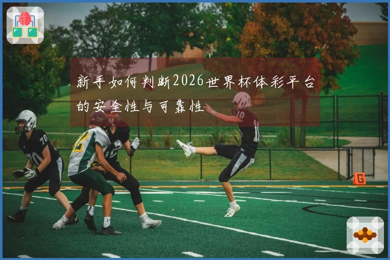 新手如何判断2026世界杯体彩平台的安全性与可靠性