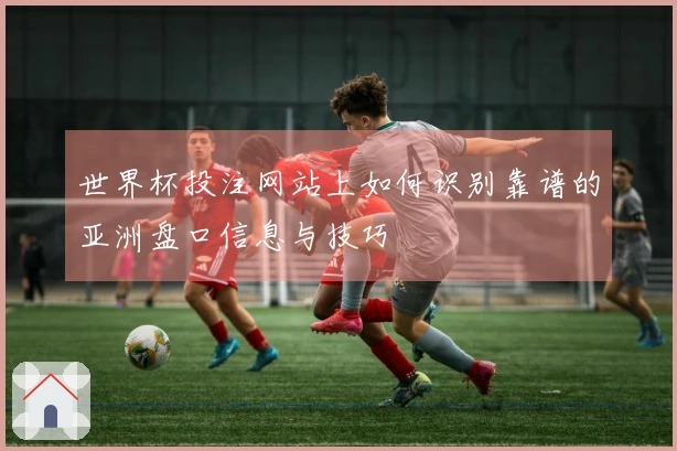 世界杯投注网站上如何识别靠谱的亚洲盘口信息与技巧