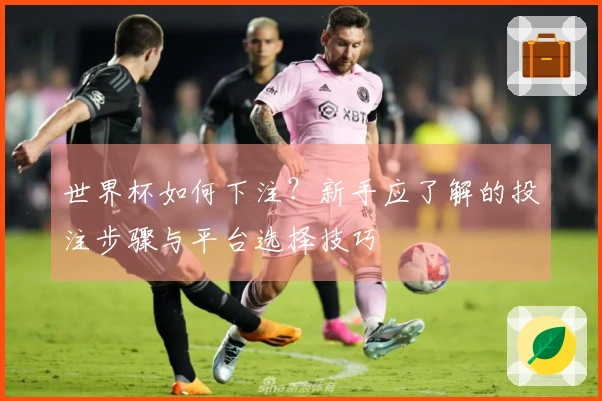 世界杯如何下注？新手应了解的投注步骤与平台选择技巧