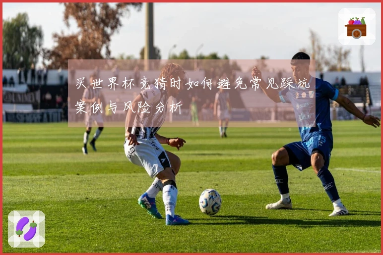 买世界杯竞猜时如何避免常见踩坑案例与风险分析