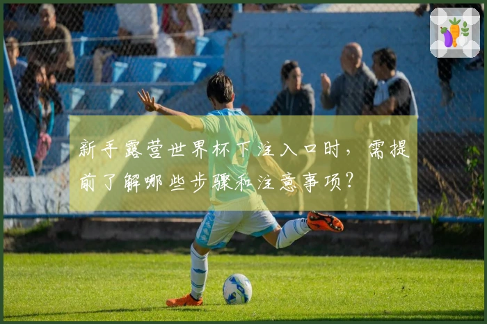 新手露营世界杯下注入口时，需提前了解哪些步骤和注意事项？