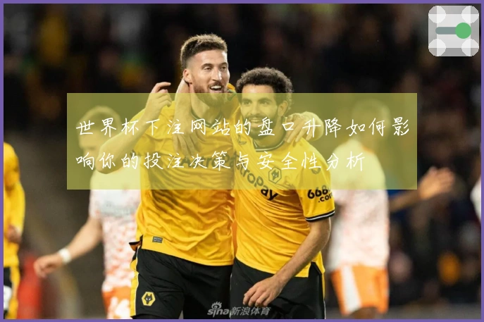世界杯下注网站的盘口升降如何影响你的投注决策与安全性分析