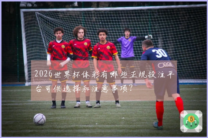 2026世界杯体彩有哪些正规投注平台可供选择和注意事项？