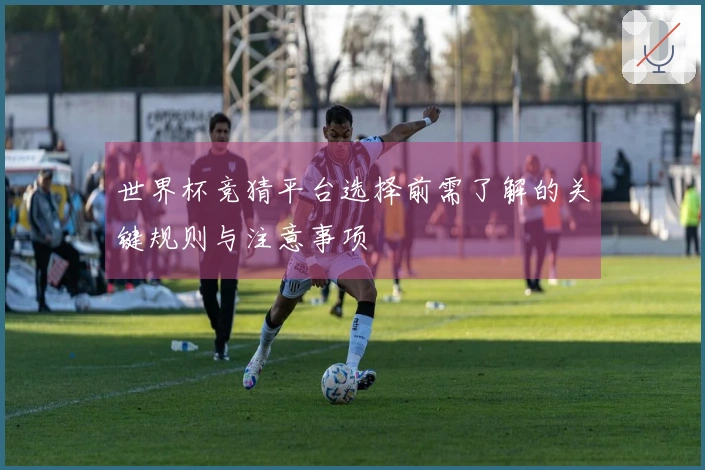世界杯竞猜平台选择前需了解的关键规则与注意事项