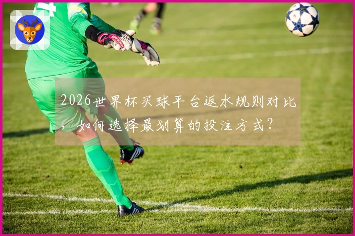 2026世界杯买球平台返水规则对比，如何选择最划算的投注方式？