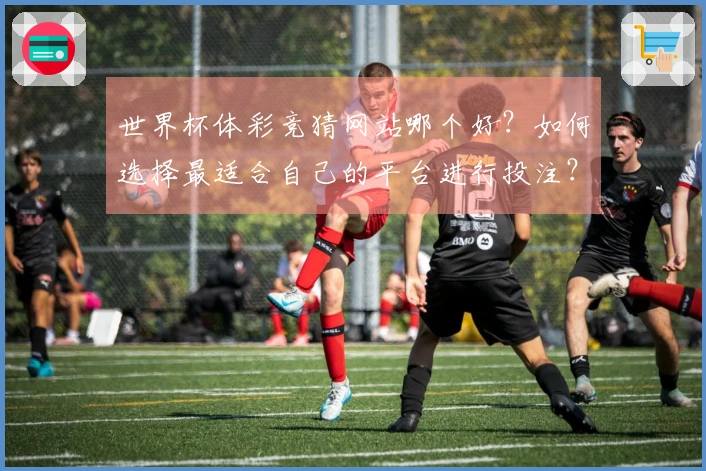 世界杯体彩竞猜网站哪个好？如何选择最适合自己的平台进行投注？