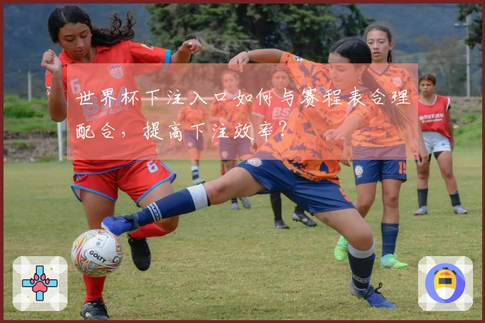 世界杯下注入口如何与赛程表合理配合，提高下注效率？