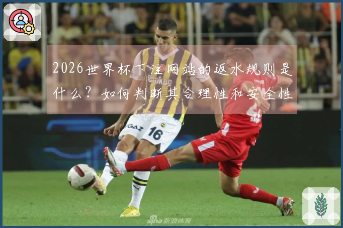 2026世界杯下注网站的返水规则是什么？如何判断其合理性和安全性？