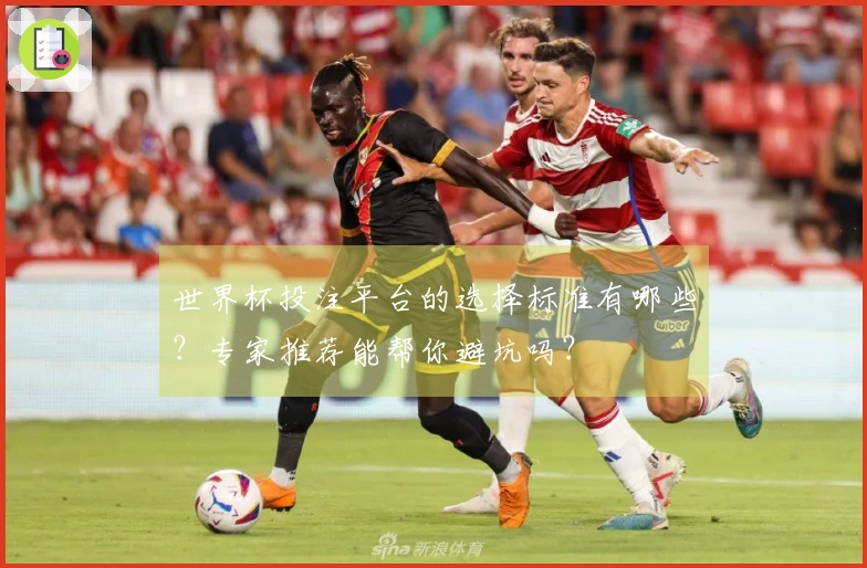 世界杯投注平台的选择标准有哪些？专家推荐能帮你避坑吗？