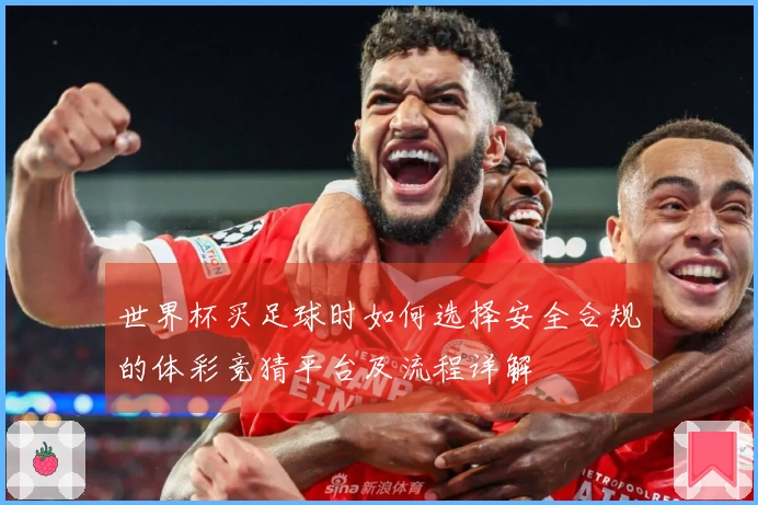 世界杯买足球时如何选择安全合规的体彩竞猜平台及流程详解