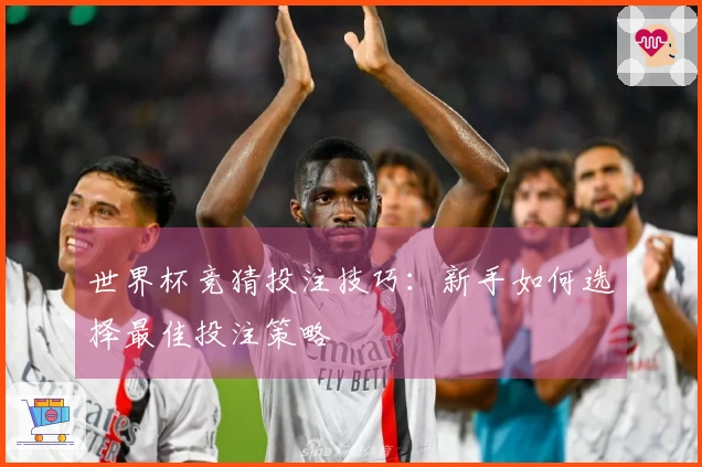 世界杯竞猜投注技巧：新手如何选择最佳投注策略