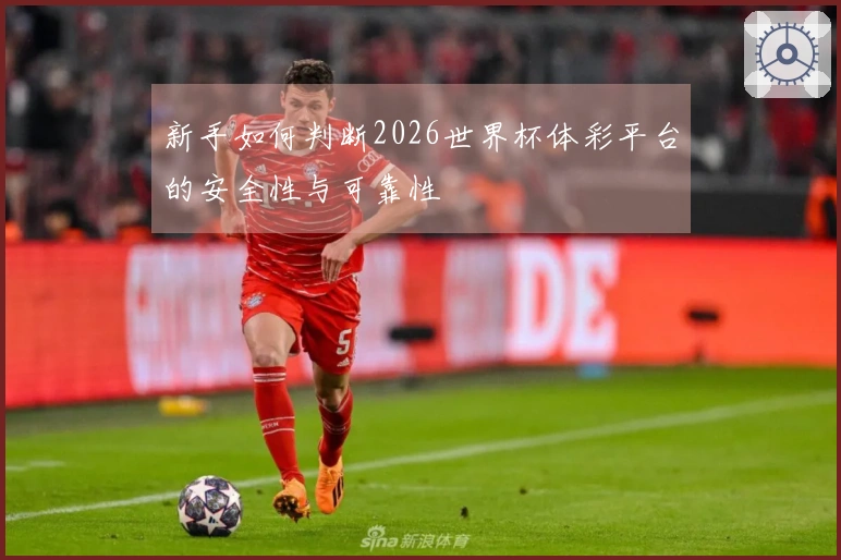 新手如何判断2026世界杯体彩平台的安全性与可靠性