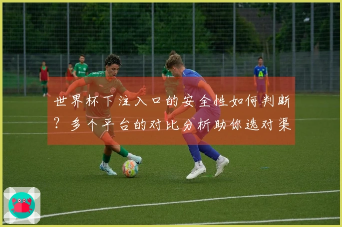 世界杯下注入口的安全性如何判断？多个平台的对比分析助你选对渠道