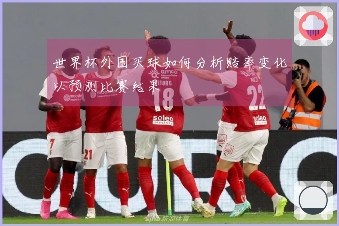 世界杯外围买球如何分析赔率变化以预测比赛结果