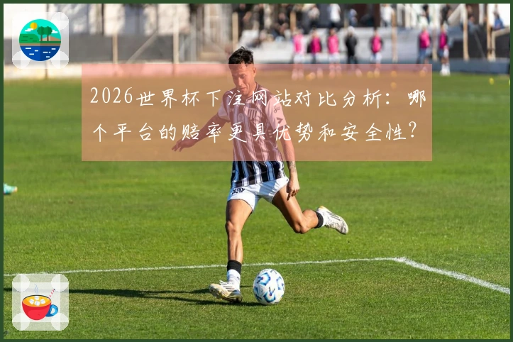 2026世界杯下注网站对比分析：哪个平台的赔率更具优势和安全性？
