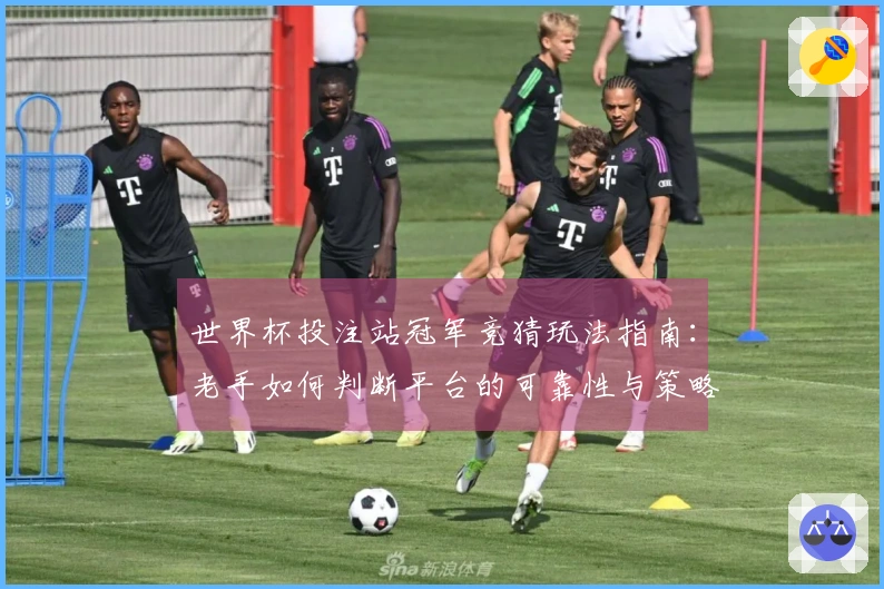 世界杯投注站冠军竞猜玩法指南：老手如何判断平台的可靠性与策略分析
