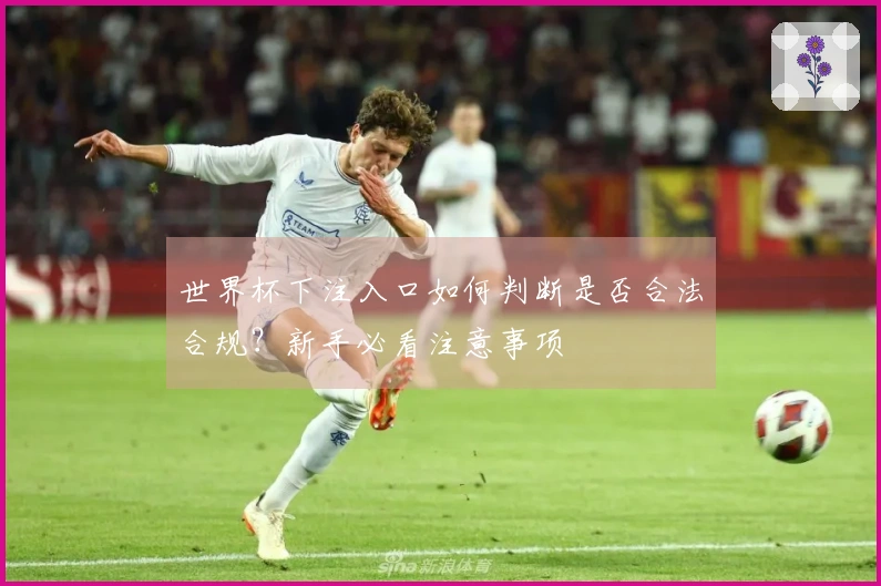 世界杯下注入口如何判断是否合法合规？新手必看注意事项