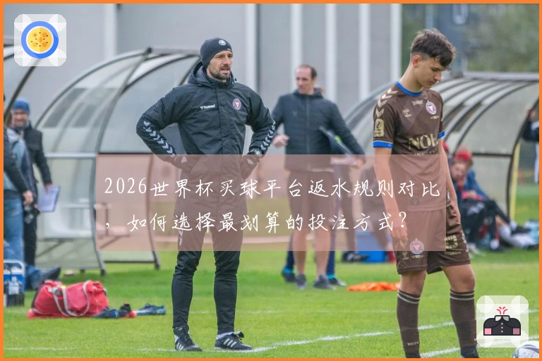 2026世界杯买球平台返水规则对比，如何选择最划算的投注方式？