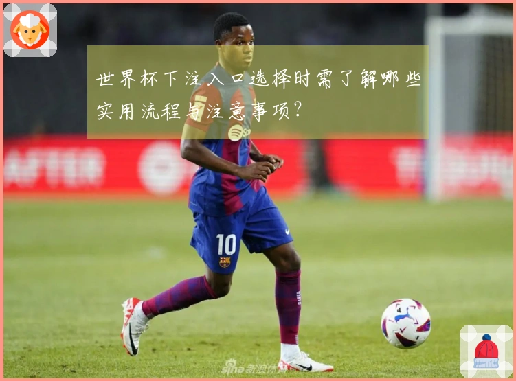 世界杯下注入口选择时需了解哪些实用流程与注意事项？