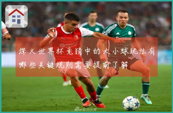 烽火世界杯竞猜中的大小球玩法有哪些关键规则需要提前了解