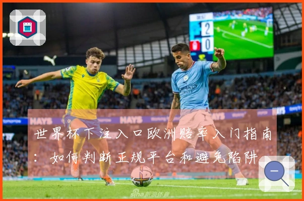 世界杯下注入口欧洲赔率入门指南：如何判断正规平台和避免陷阱
