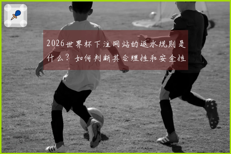 2026世界杯下注网站的返水规则是什么？如何判断其合理性和安全性？