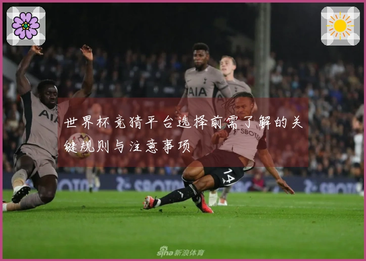 世界杯竞猜平台选择前需了解的关键规则与注意事项