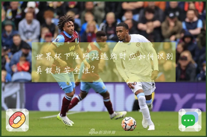 世界杯下注网站选购时应如何识别真假与安全性？